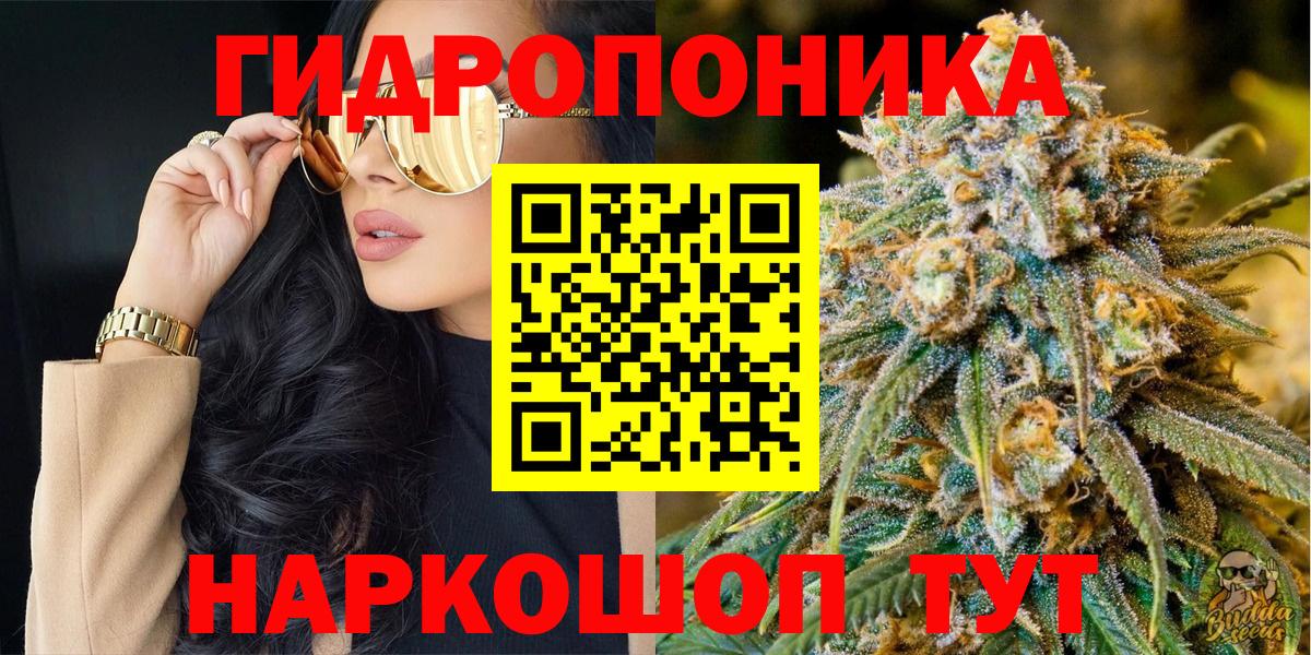 Бошки Шишки семена  Вход с VPN  МАРИХУАНА Amnesia  Карпинск 